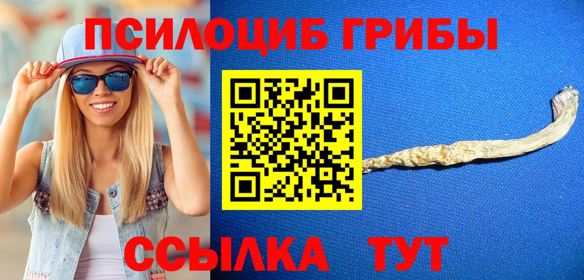 Галлюциногенные грибы MAGIC MUSHROOMS Кстово